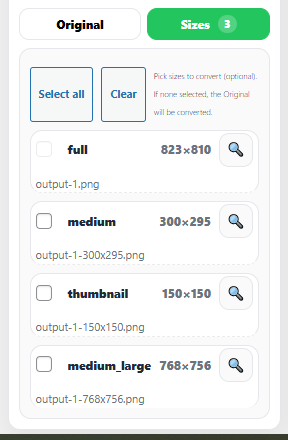NT WebP eklentisi ekran görüntüsü