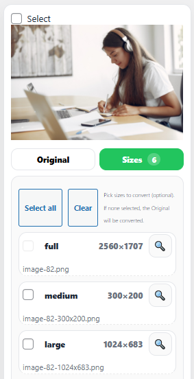 NT WebP eklentisi ekran görüntüsü